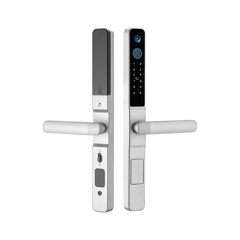 Enrique Tuya smart door lock wi fi electric smart door for water proof lock european standard biomet