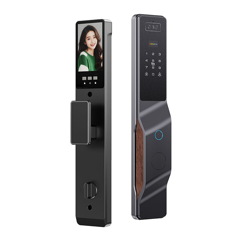 Enrique Tuya Automatic Biometric IC Card Lock with